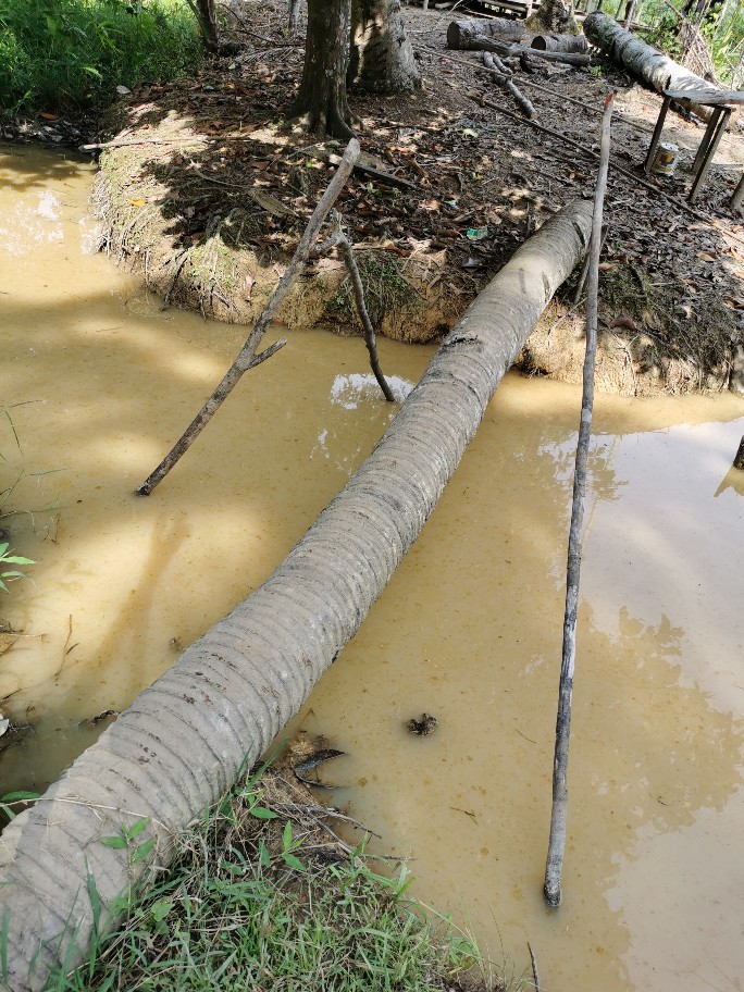 f:id:azulaquarium:20211018223701j:plain