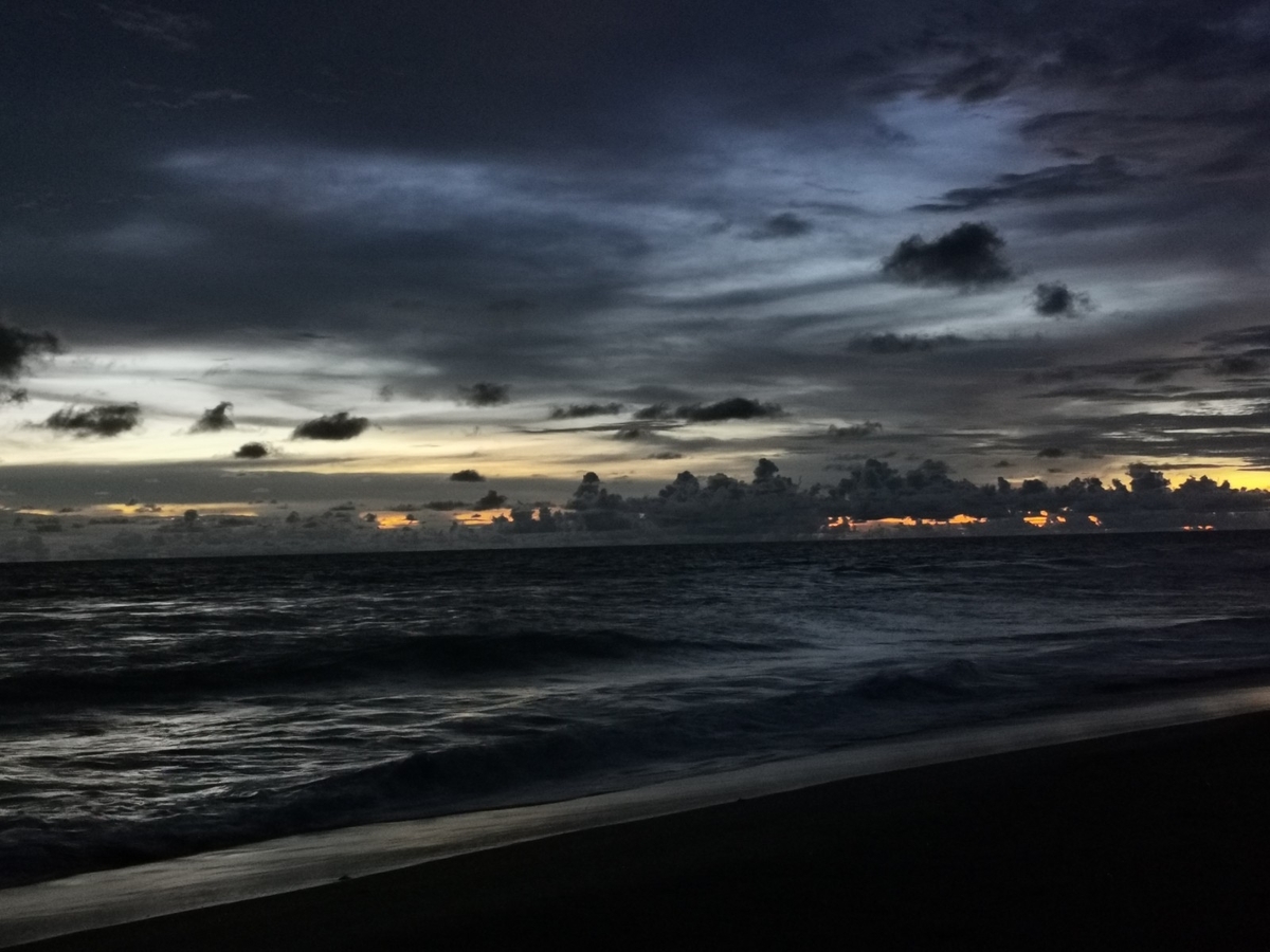 f:id:azulaquarium:20211025221816j:plain