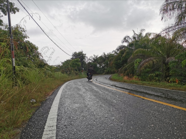 f:id:azulaquarium:20211025223537j:plain