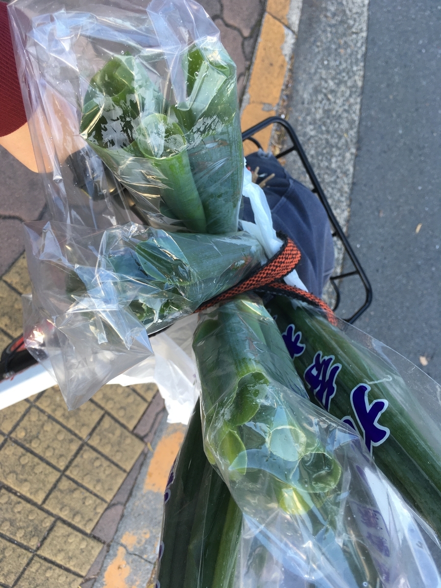 f:id:azumakuniyuki:20191220154012j:plain 忘年会へ行く途中で買ったネギを積み込んだPiPPA自転車