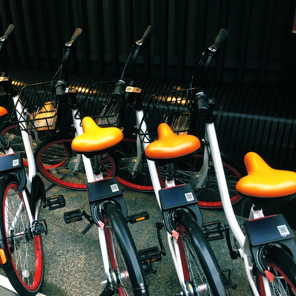 f:id:azumakuniyuki:20191226154411j:plain みかん色のサドルが目印のPiPPA自転車