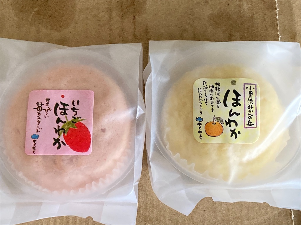f:id:azumayama:20260620130230j:image