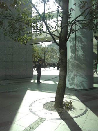 f:id:azumi_s:20090214102758j:image