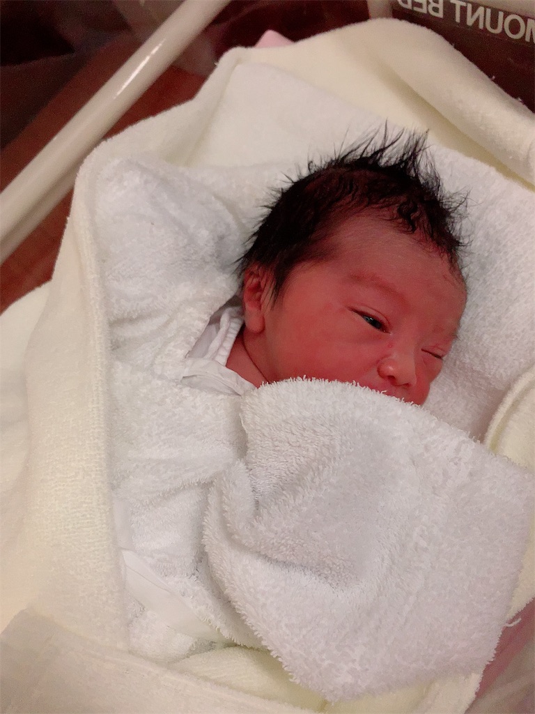 f:id:azuminakamura:20200219235042j:image f:id:azuminakamura:20200219235042j:image
