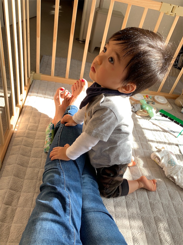 f:id:azuminakamura:20201216190241j:image