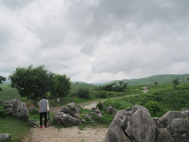 f:id:azuminminzemi:20170715115234j:image f:id:azuminminzemi:20170715115234j:image