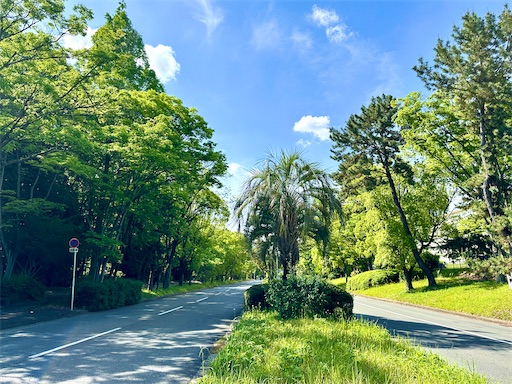 f:id:azumino874:20250511151332j:image