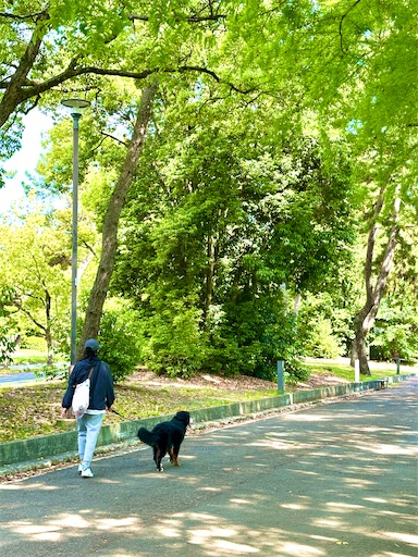 f:id:azumino874:20250511151540j:image