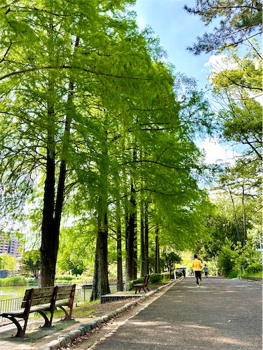 f:id:azumino874:20250511151625j:image