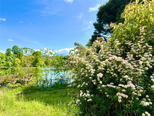 f:id:azumino874:20250511151724j:image