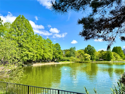 f:id:azumino874:20250511151728j:image