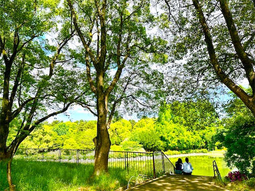 f:id:azumino874:20250511152029j:image