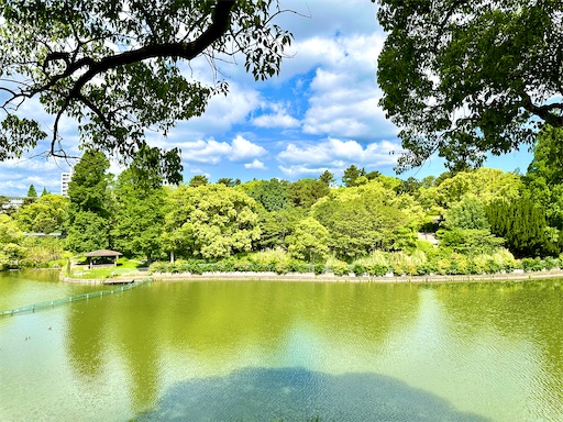 f:id:azumino874:20250511152032j:image