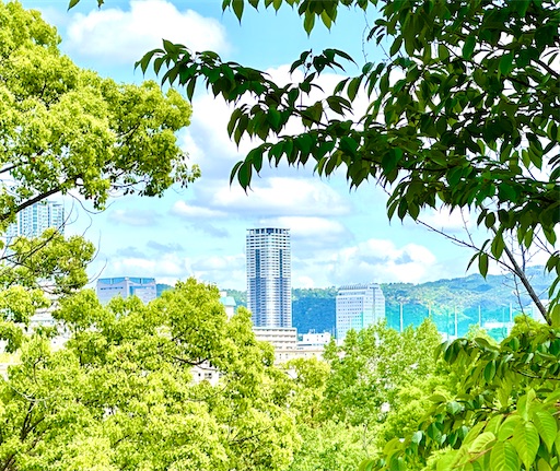 f:id:azumino874:20250511152126j:image