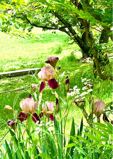 f:id:azumino874:20250511152311j:image