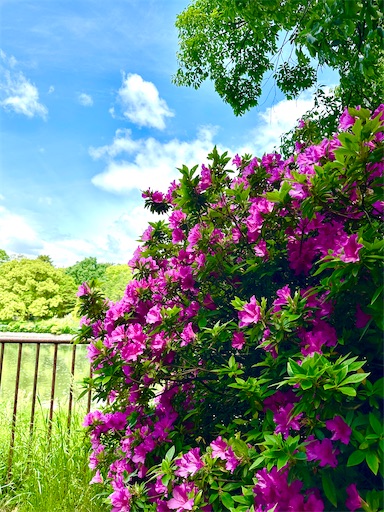 f:id:azumino874:20250511152456j:image