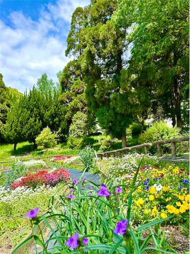 f:id:azumino874:20250511152459j:image