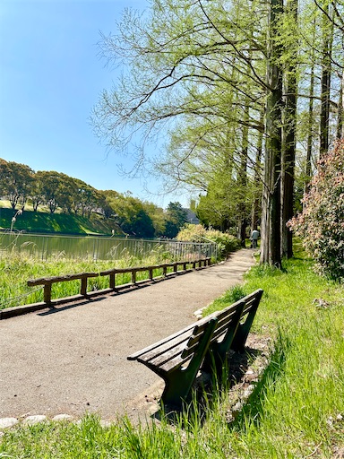 f:id:azumino874:20250511154507j:image