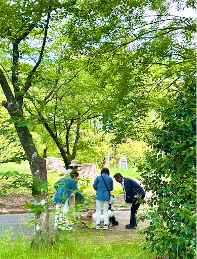 f:id:azumino874:20250511154628j:image