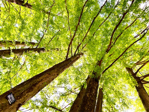 f:id:azumino874:20250511154659j:image