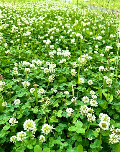 f:id:azumino874:20250512203553j:image