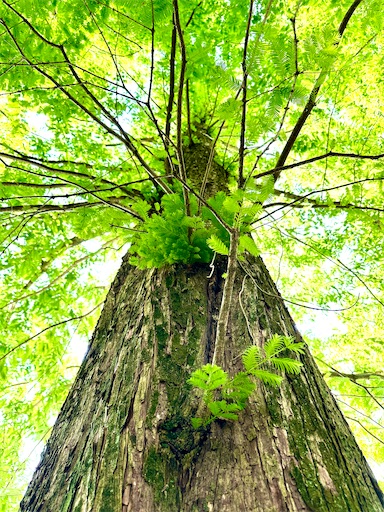 f:id:azumino874:20250512204254j:image