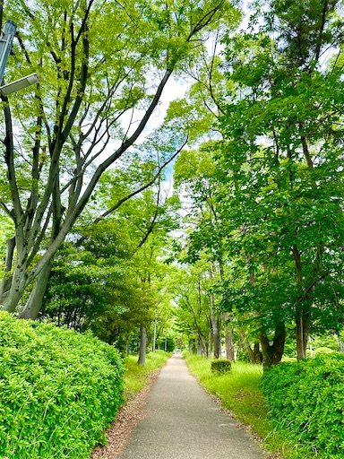 f:id:azumino874:20250531094101j:image