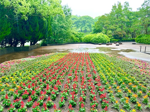 f:id:azumino874:20250603144946j:image