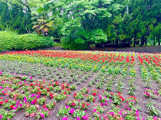 f:id:azumino874:20250603144949j:image