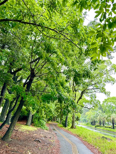 f:id:azumino874:20250603145603j:image