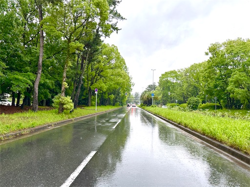 f:id:azumino874:20250603145606j:image