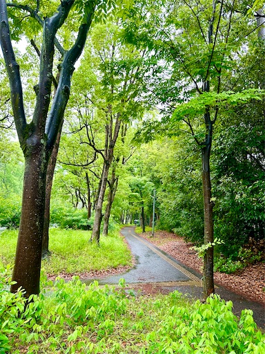 f:id:azumino874:20250603145609j:image