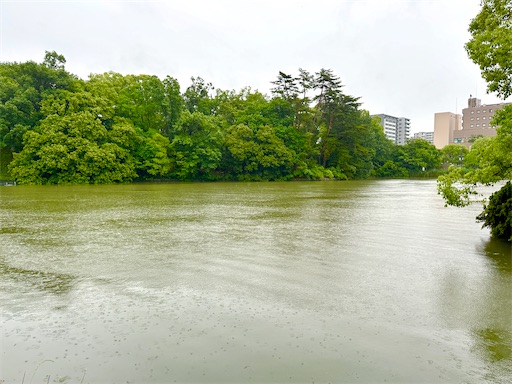 f:id:azumino874:20250603145942j:image