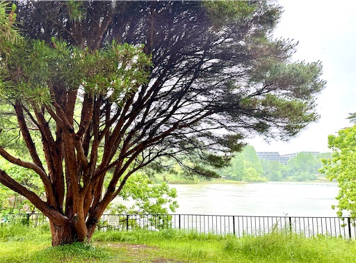 f:id:azumino874:20250603150533j:image