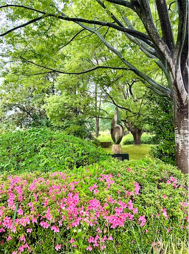 f:id:azumino874:20250603150719j:image