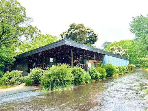 f:id:azumino874:20250603150723j:image