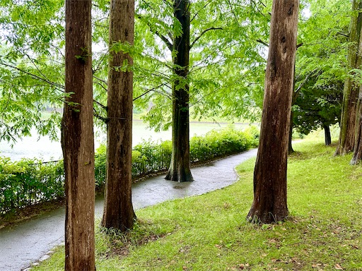 f:id:azumino874:20250603150940j:image