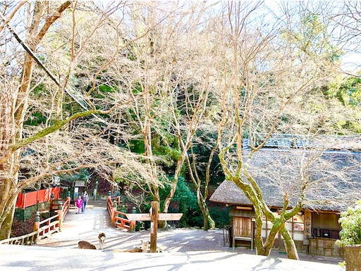 f:id:azumino874:20260109181513j:image