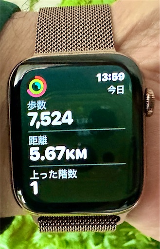 f:id:azumino874:20260130140134j:image