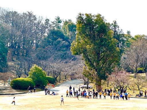 f:id:azumino874:20260130170813j:image