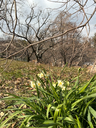 f:id:azumino874:20260130170846j:image