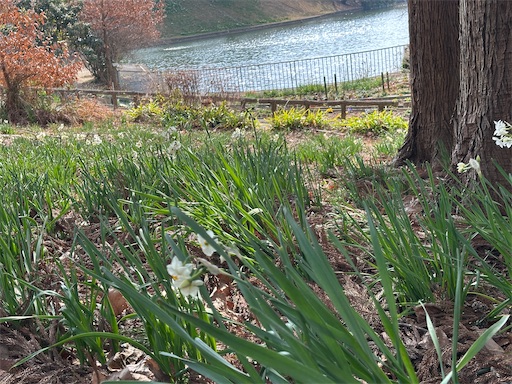 f:id:azumino874:20260130171003j:image