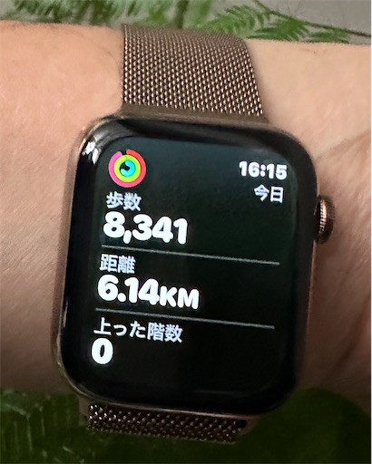 f:id:azumino874:20260201171847j:image