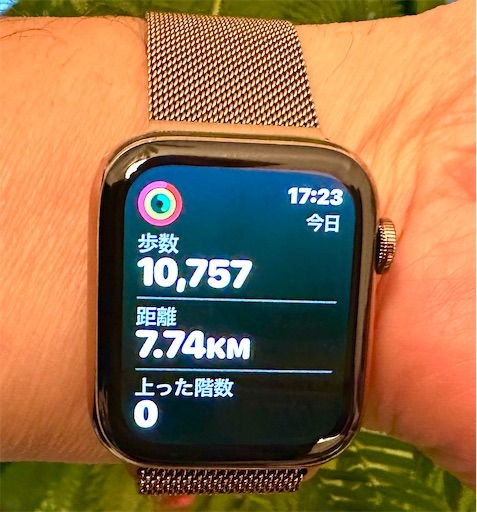 f:id:azumino874:20260205084753j:image