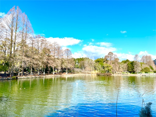 f:id:azumino874:20260205093123j:image