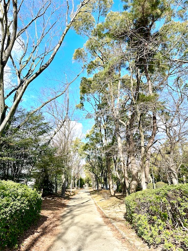 f:id:azumino874:20260205093343j:image