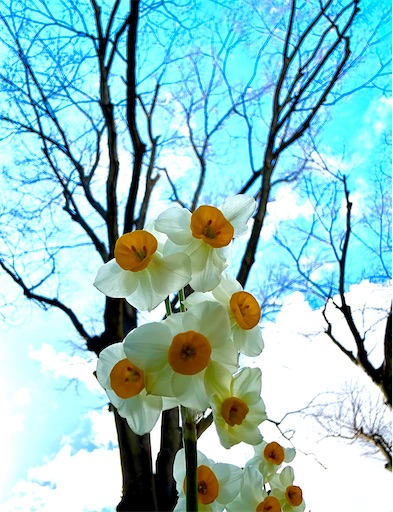 f:id:azumino874:20260205093646j:image