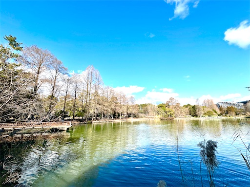 f:id:azumino874:20260205094135j:image