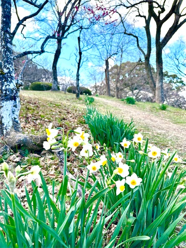 f:id:azumino874:20260205094340j:image