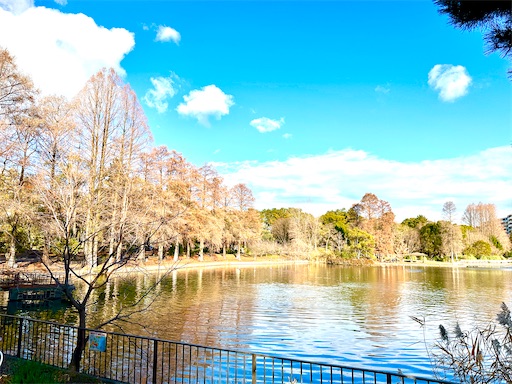 f:id:azumino874:20260205094746j:image